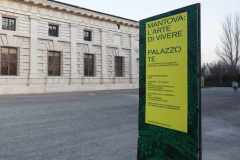 Installation-view-Le-pareti-delle-meraviglie-Palazzo-Te-25