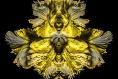 Jeff-Robb-Gold-Baroque-Rorschach-Flower-Serie-Cris-Contini-Contemporary