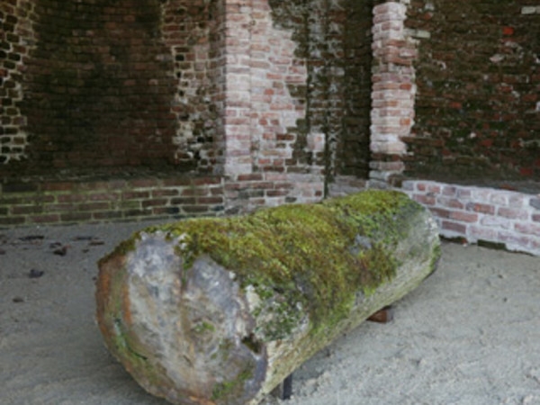 0b242dd5a6f3b60d9c07a5d96a2bc449