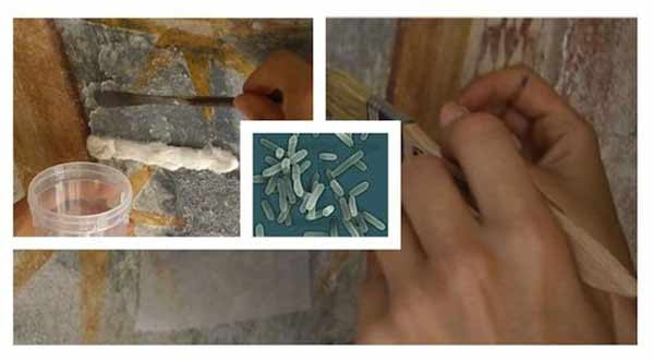 6b2d733e62f961aa8f8d2da1c77df197