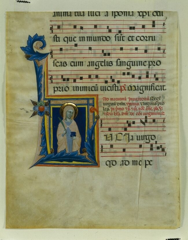 71cfd8d5cd7426aadde58394c87708d8