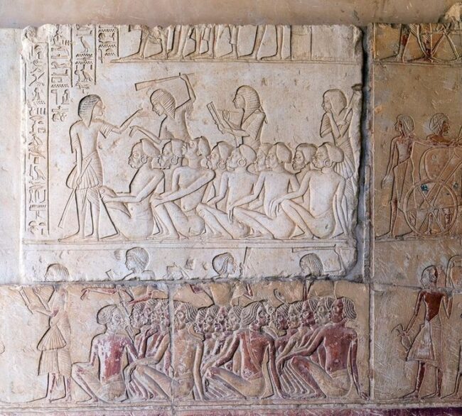 03eccef84bd77debe9e55a7aba6f9d2a