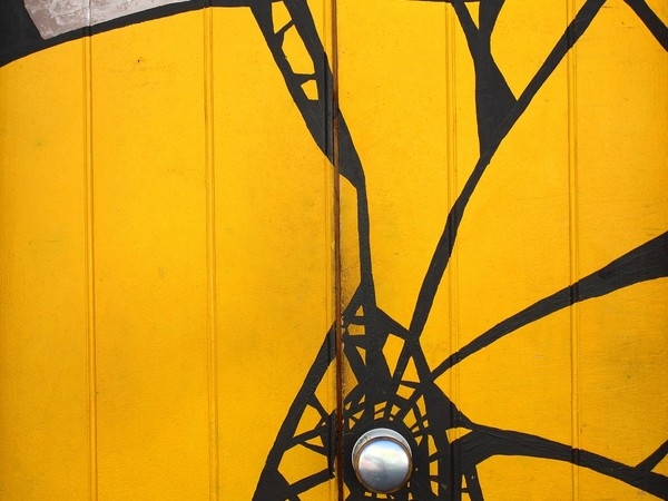 cbdc36bd56eef1b49a4218befad8fa79