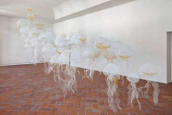 00c935e00a0e1781a9130e68a6026b4f