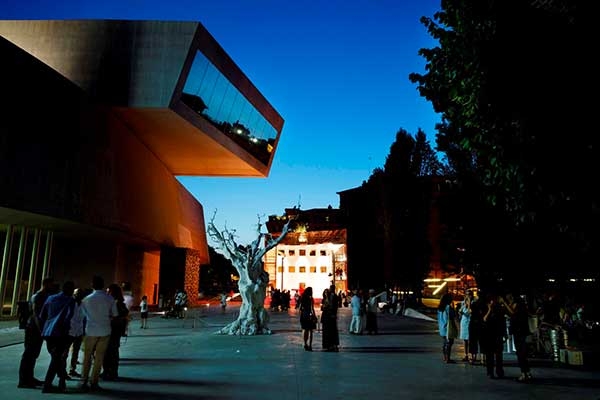 8856ce8049f74736b2ba8519cb79868e