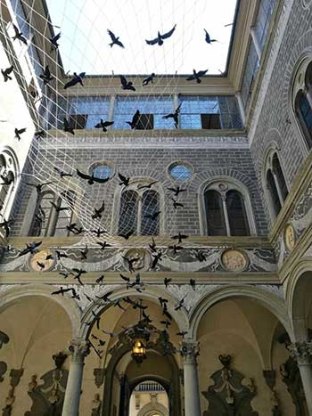 48f32105ec87a8d3485b47ecaaa00c58