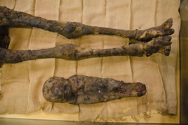 9a09f3a19bb9631189cd0ca742fea51e