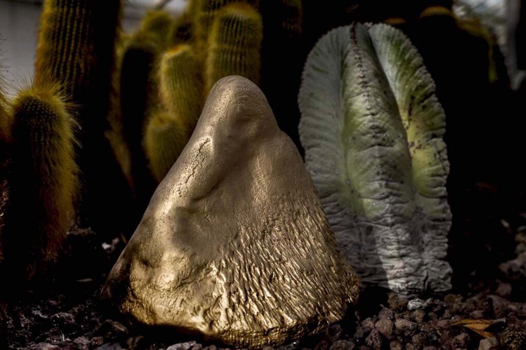 Museo Orto Botanico di Roma. Una collettiva di arte contemporanea con protagonista la natura