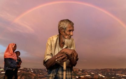 e6d68c8ce10e83ea4f336d375821de71