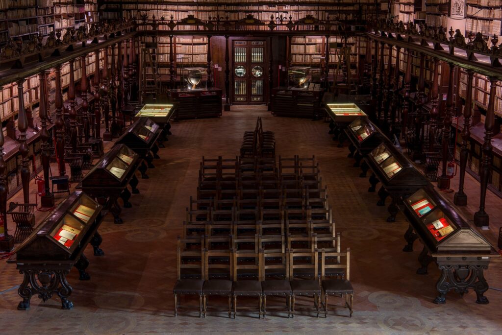 Alla Biblioteca Vallicelliana di Roma la mostra “Le ali della farfalla”. Immagini