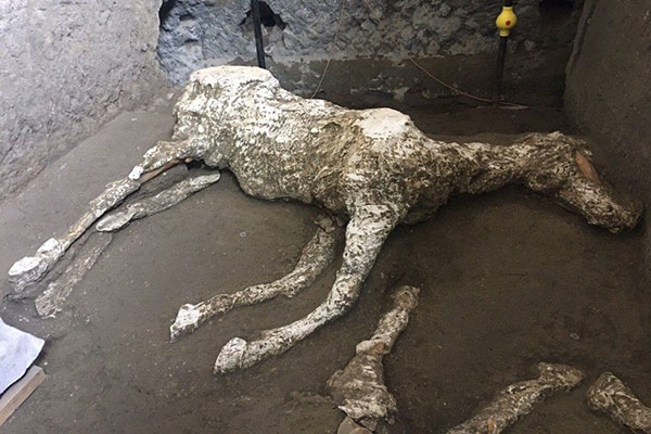 9816dac52420d7b67562baed42e72a43