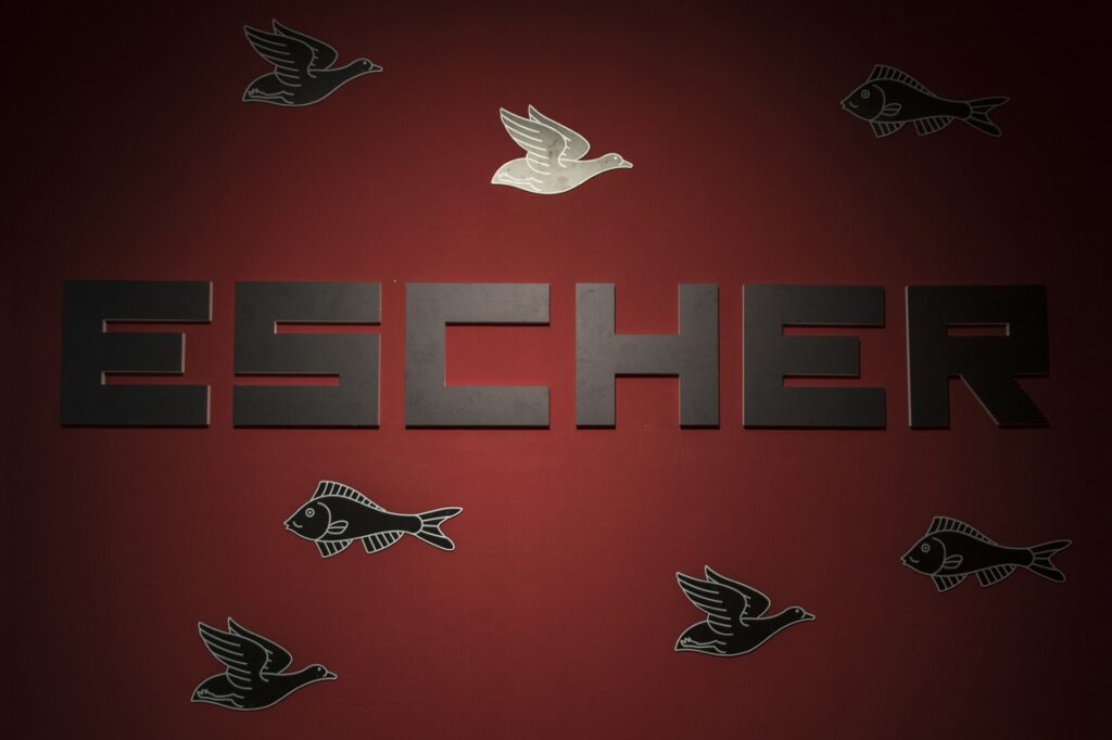 Prorogata la mostra di Escher al PAN | Palazzo delle Arti Napoli