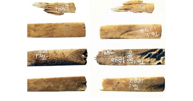 da2b09a8d9386f09f586f14448f1033b