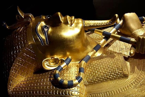 1455da4c84d33b5687243eb28f50141e