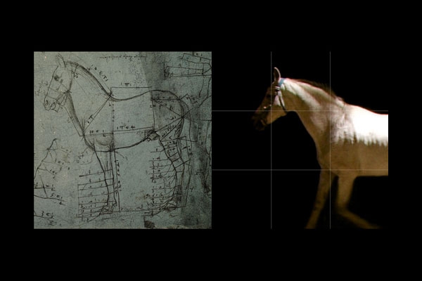 1df002457b06897b541d8d032847a3cb