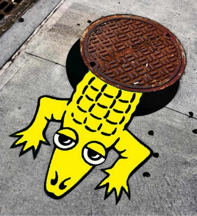 2a0df837c7185916fff8b099dd4d07b4