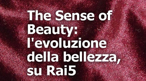 cf880593fe85913d2efbb2b17b454b40