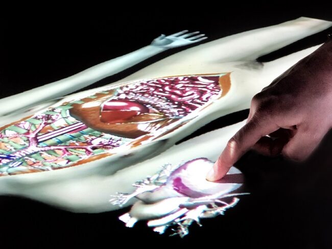 e115fcbb3ee4ee0c20c60f45eabbe76a