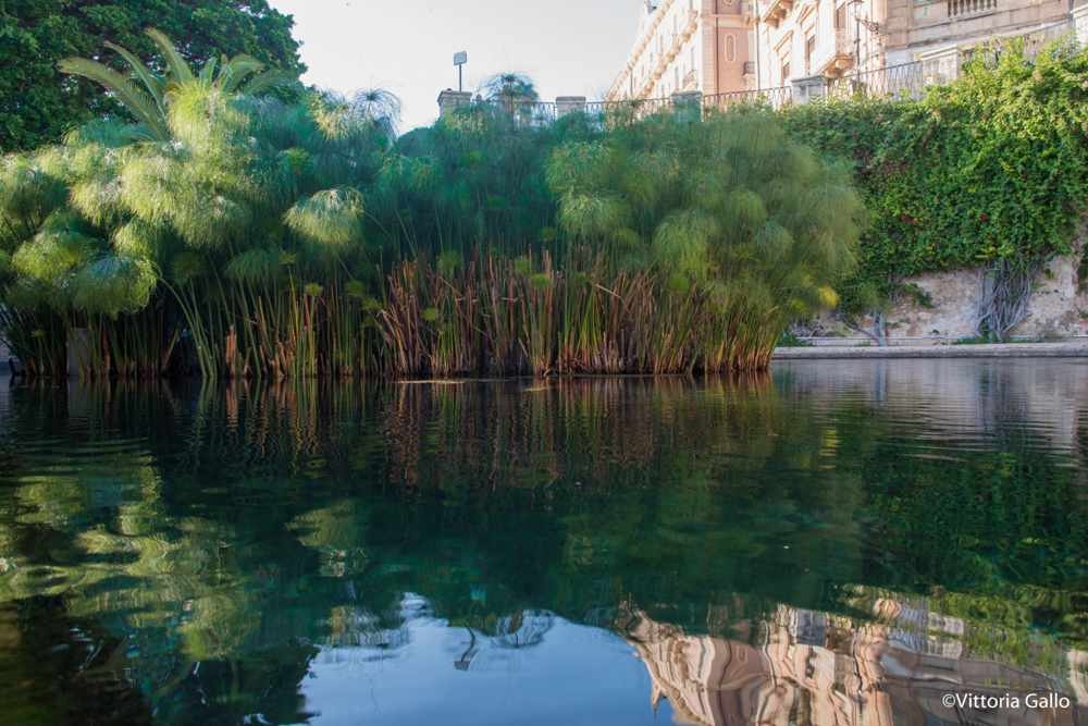 5bcbee682ad194e9e030715dfc905bcf