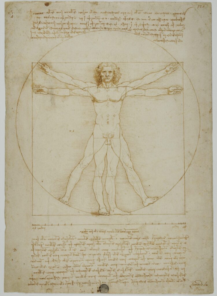 Gallerie dell’Accademia di Venezia, il progetto di valorizzazione dell’Uomo Vitruviano