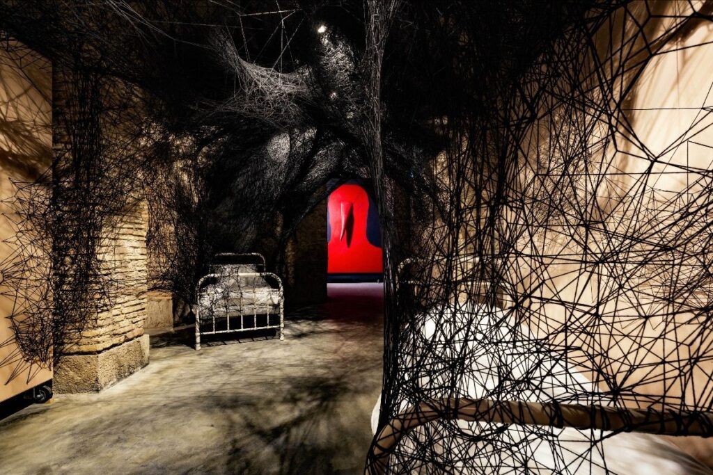 Inaugura “The Dark Side” la prima mostra di Musja. Foto