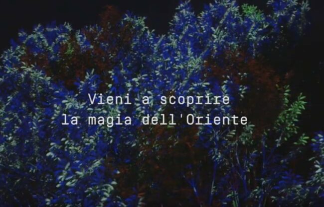 b5394b734b6d15082765968abfc013cf