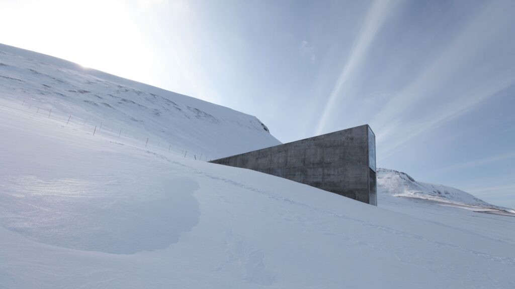 Al Maxxi una rassegna dedicata alla complessa ricerca di Ali Kazma