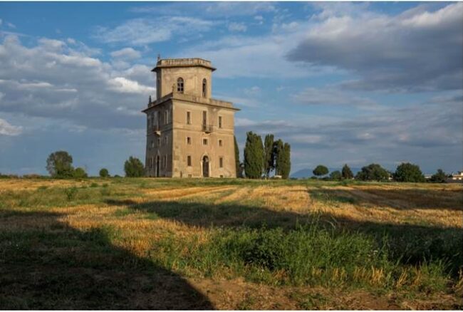 adec46c3408046690f2717b20cf7351e