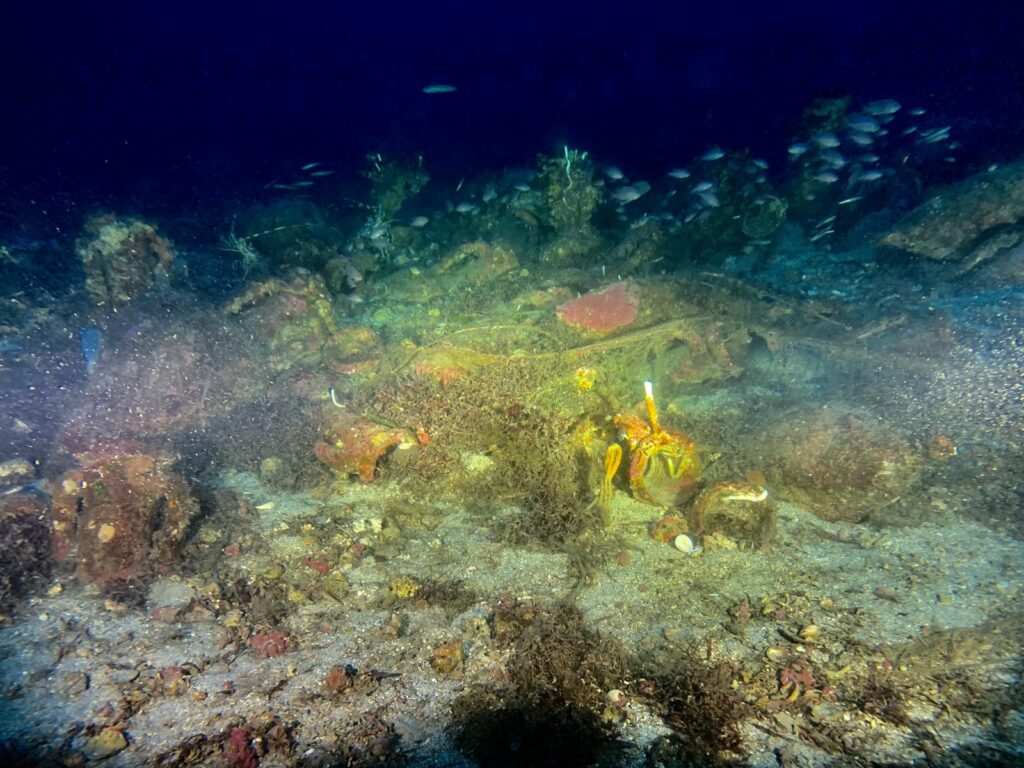 Archeologia. Nel mare di Ustica un relitto con anfore del II e il I secolo a.C.