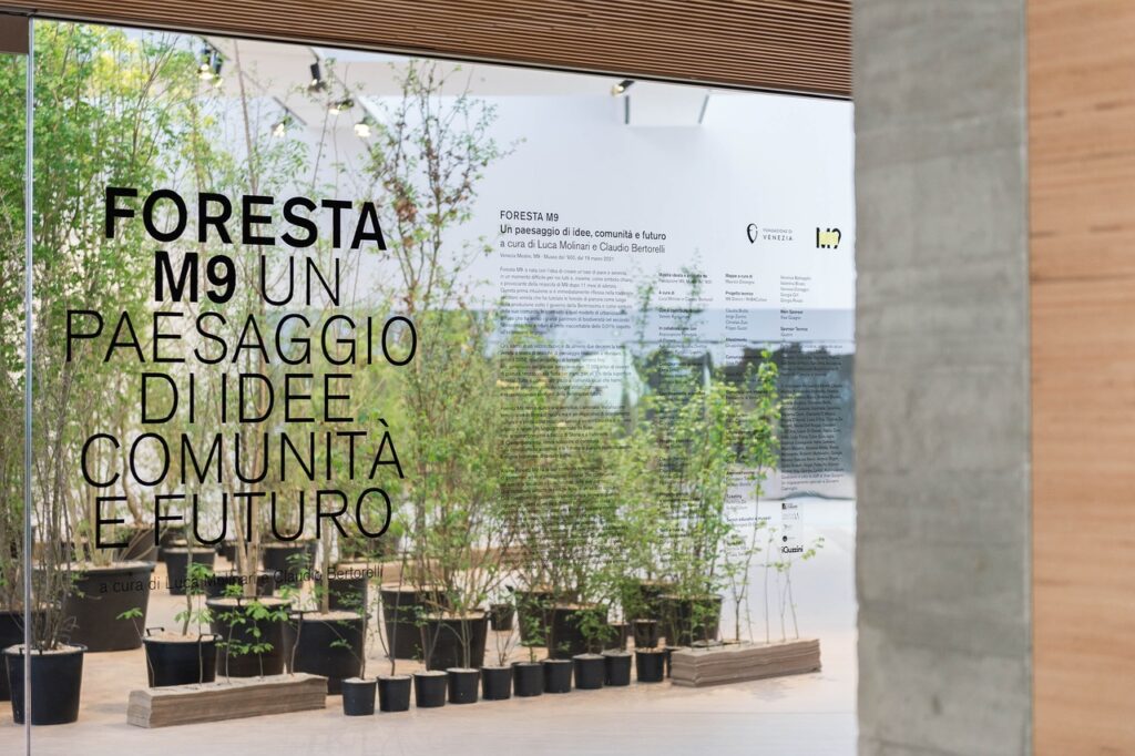Con la mostra “Foresta M9” riapre al pubblico M9 – Museo del ’900 di Venezia Mestre