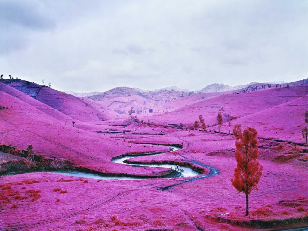 “Displaced”, la prima antologica del fotografo irlandese Richard Mosse al MAST di Bologna