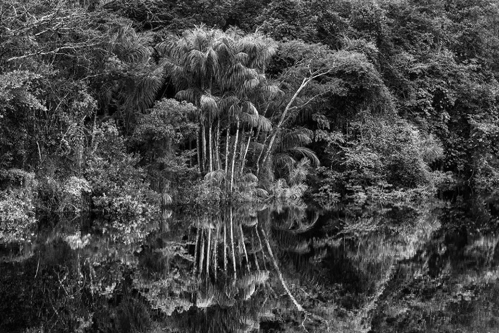 L’Amazzonia nelle immagini di Salgado al MAXXI