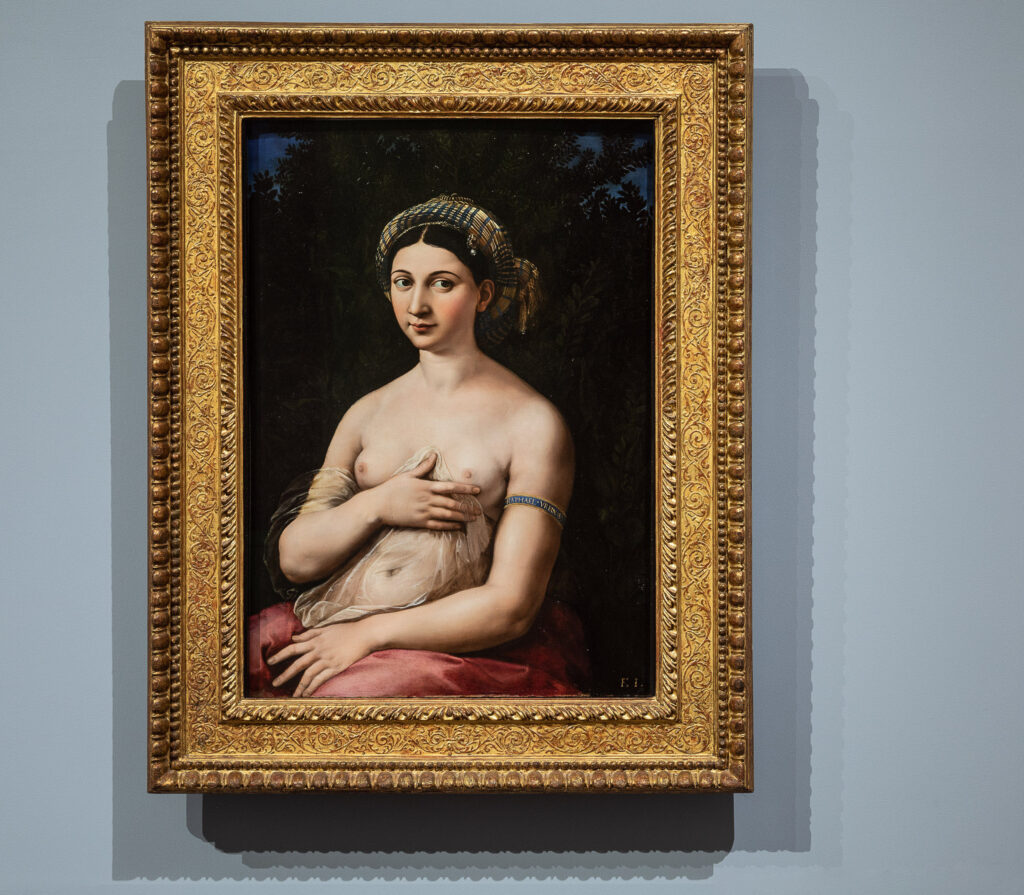 Il nuovo allestimento delle sale del Cinquecento a Palazzo Barberini. Le foto