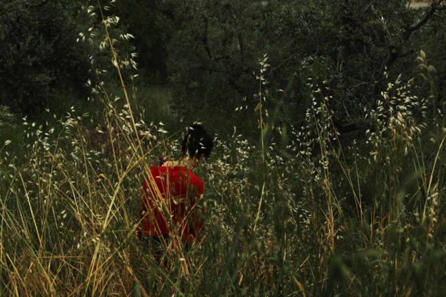 Unimmagine-tratta-da-La-storia-di-Anna-dal-progetto-Segni-a-cura-del-Cortile-dei-Gentili-e-della-Consulta-femminile-del-Pontificio-Consiglio-della-Cultura.-©Simona-Ghizzoni.