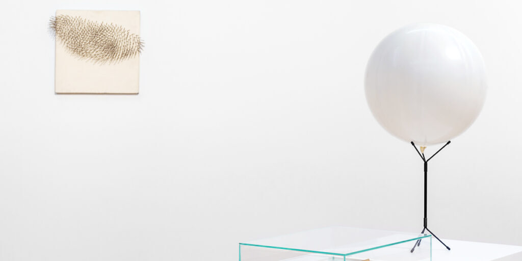 FDN_Collection_GRAFICA