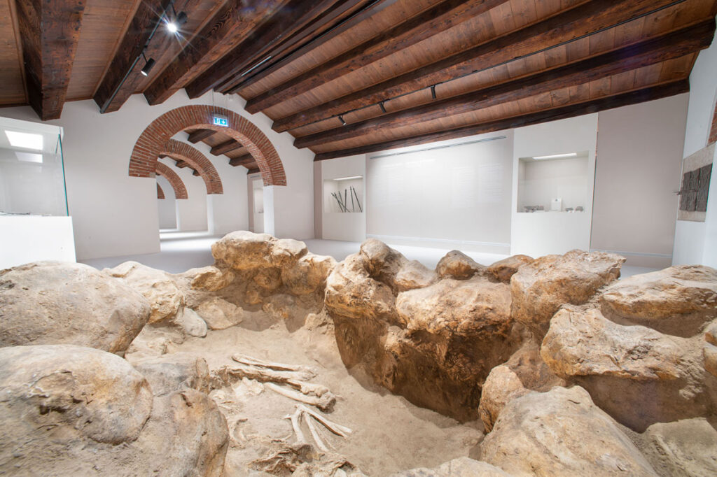 Inaugurato a Verona il nuovo Museo Nazionale Archeologico 
