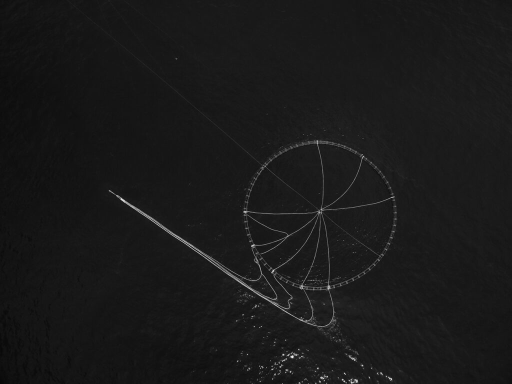 Alla Galleria del Cembalo due mostre fotografiche: “Mare Omnis” di Francesco Zizola e “Epifanie/03 – LAB/per un laboratorio irregolare”. Video