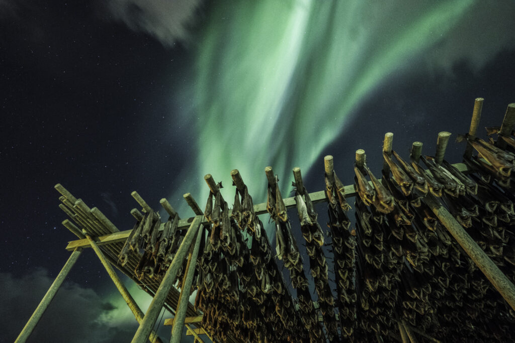 “Arctic Tales”, al Museo di Roma in Trastevere i reportage fotografici di Valentina Tamborra
