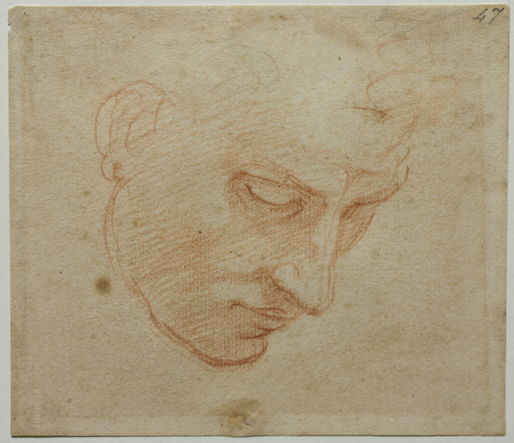 Michelangelo e la sua Sistina. I disegni autografi al Museo Alto Garda