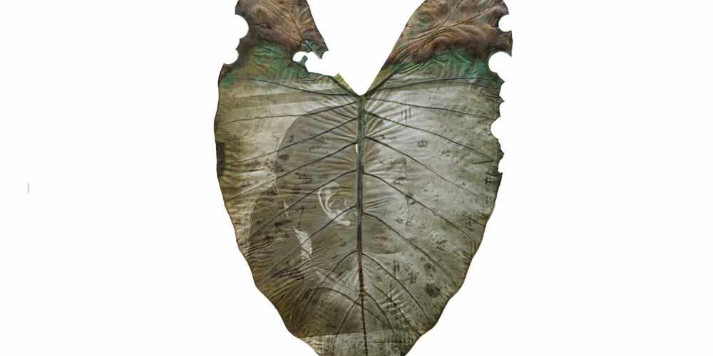 1.