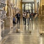 Musei Vaticani, turista statunitense getta a terra due sculture danneggiandole