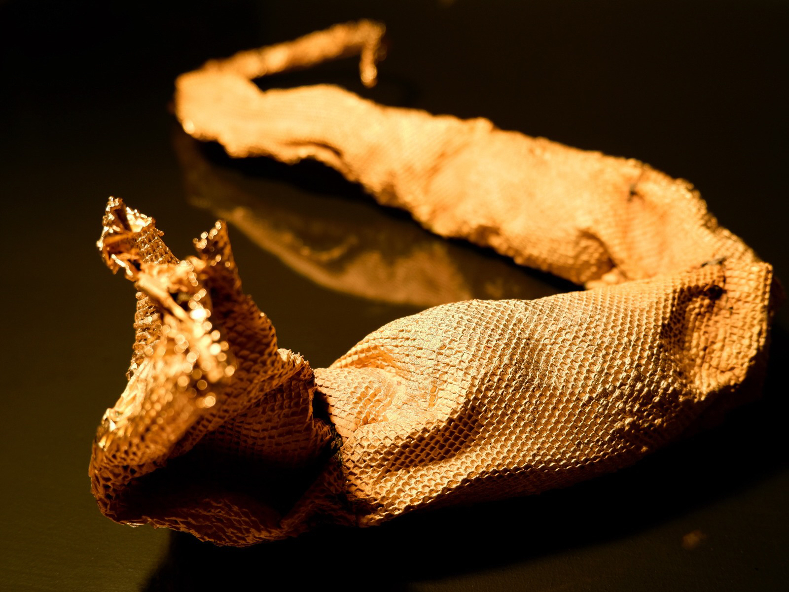 3cc43819-c843-f129-a629-1bb0ff413161