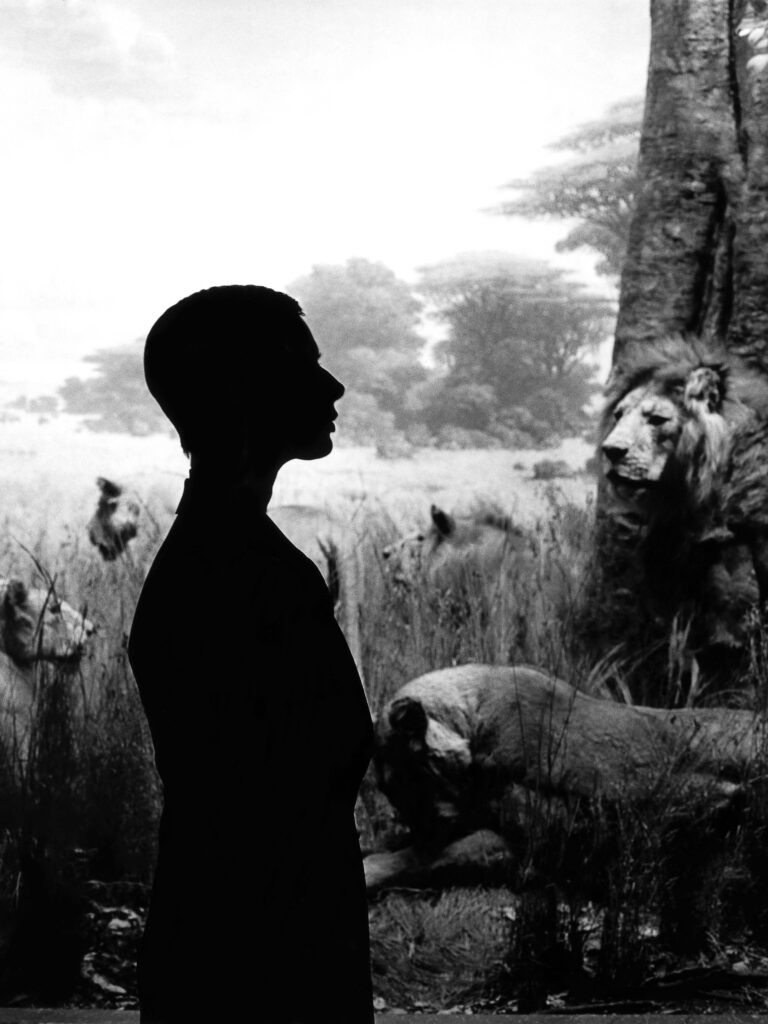 Palazzo Merulana. Isabella Rossellini by André Rau, il racconto per immagini di una significativa unione artistica