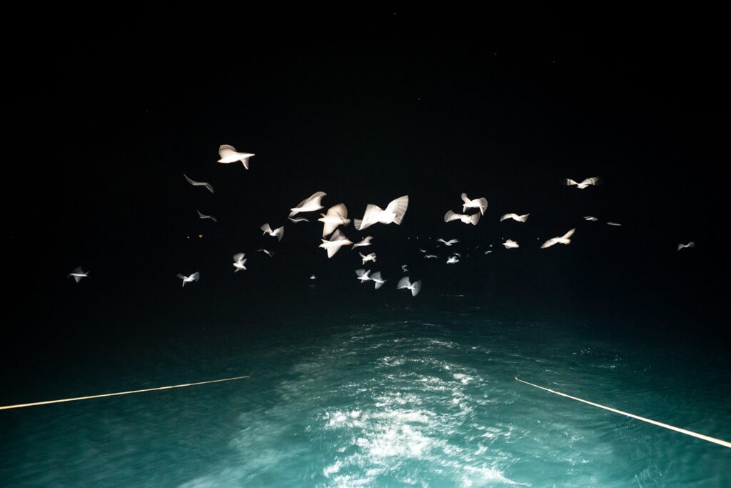 Torna il premio ISPA, Italian Sustainability Photo Award
