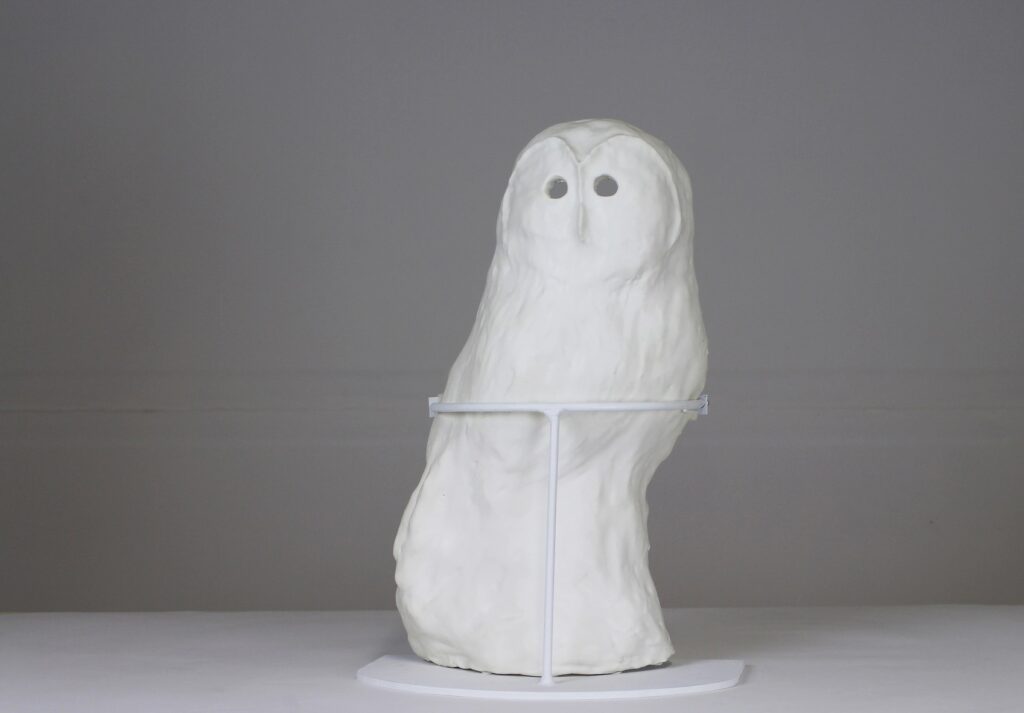 L’“ipotetico giardino” di Gianluca Quaglia alla Galleria #apis+ di Benevento