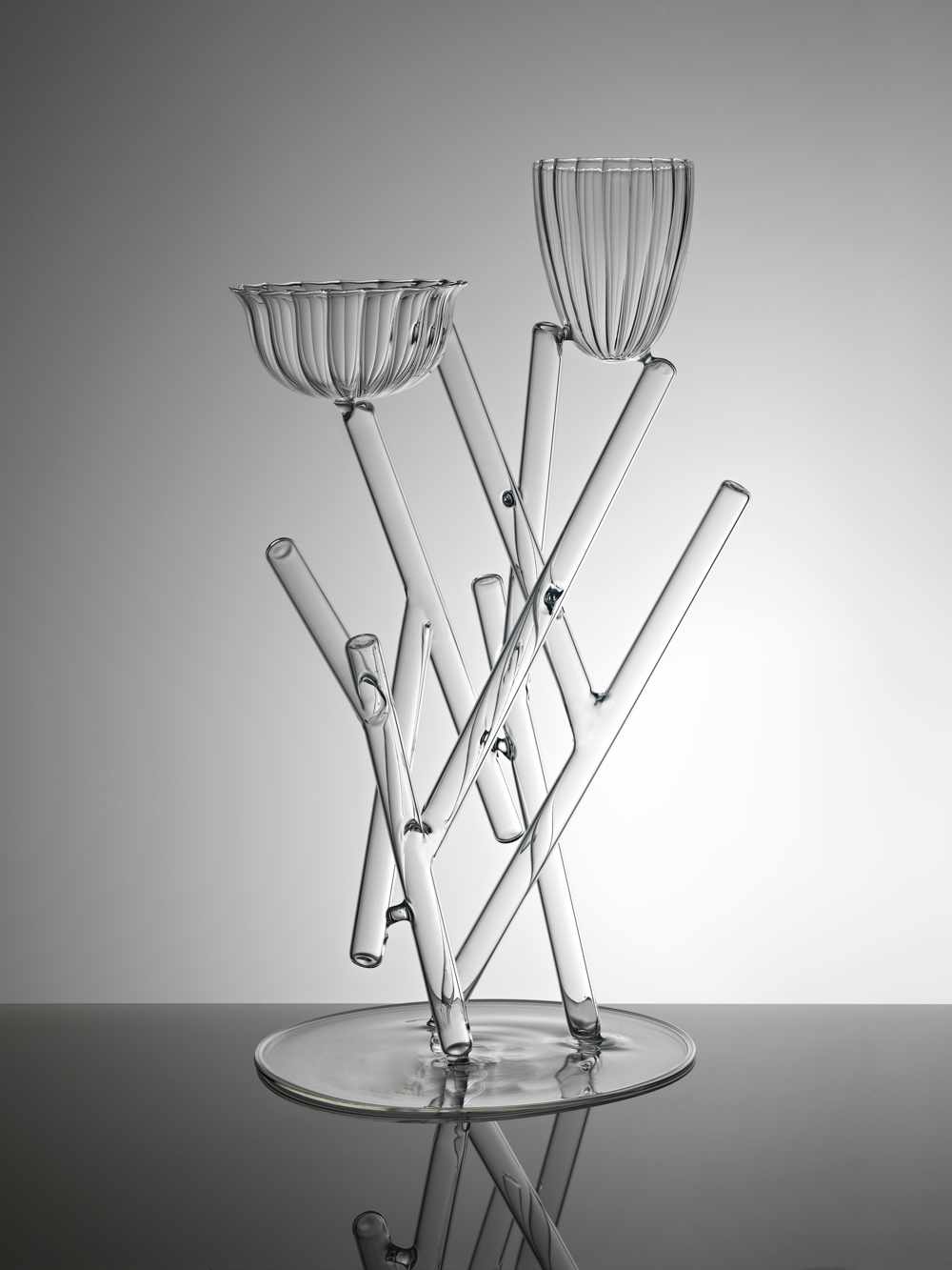 Mario Trimarchi - still life © Arrigo Coppitz