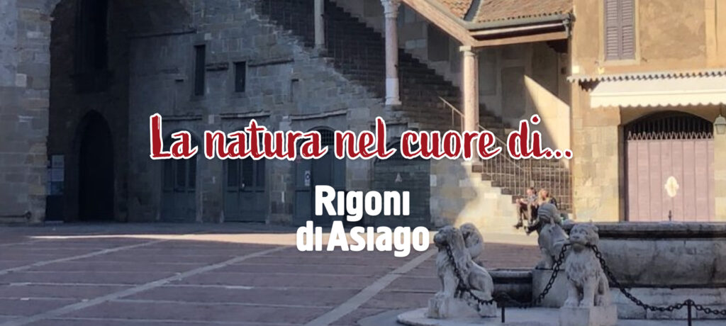 Rigoni di Asiago per l’arte: vota la città per un intervento di restauro