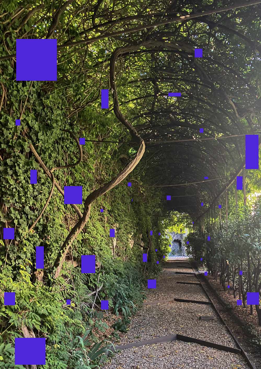 AGAPANTO Tempo Radicarsi rendering pergolato a colori