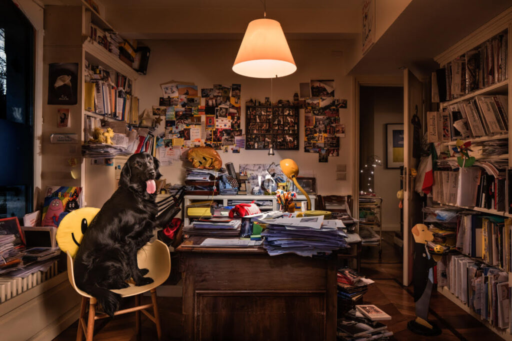 “Divas. Dog Portraits”, ultimi giorni per la mostra a Villa della Regina a Torino