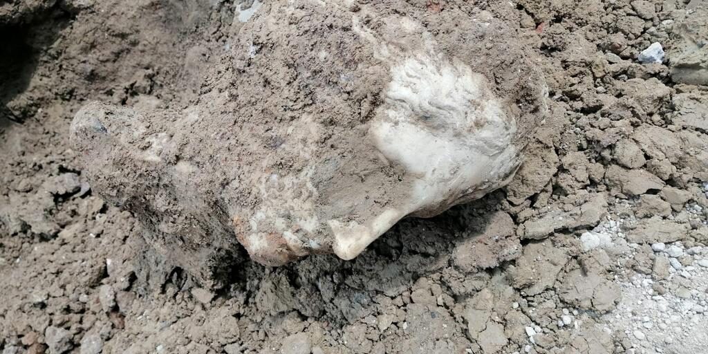 testa marmo a roma